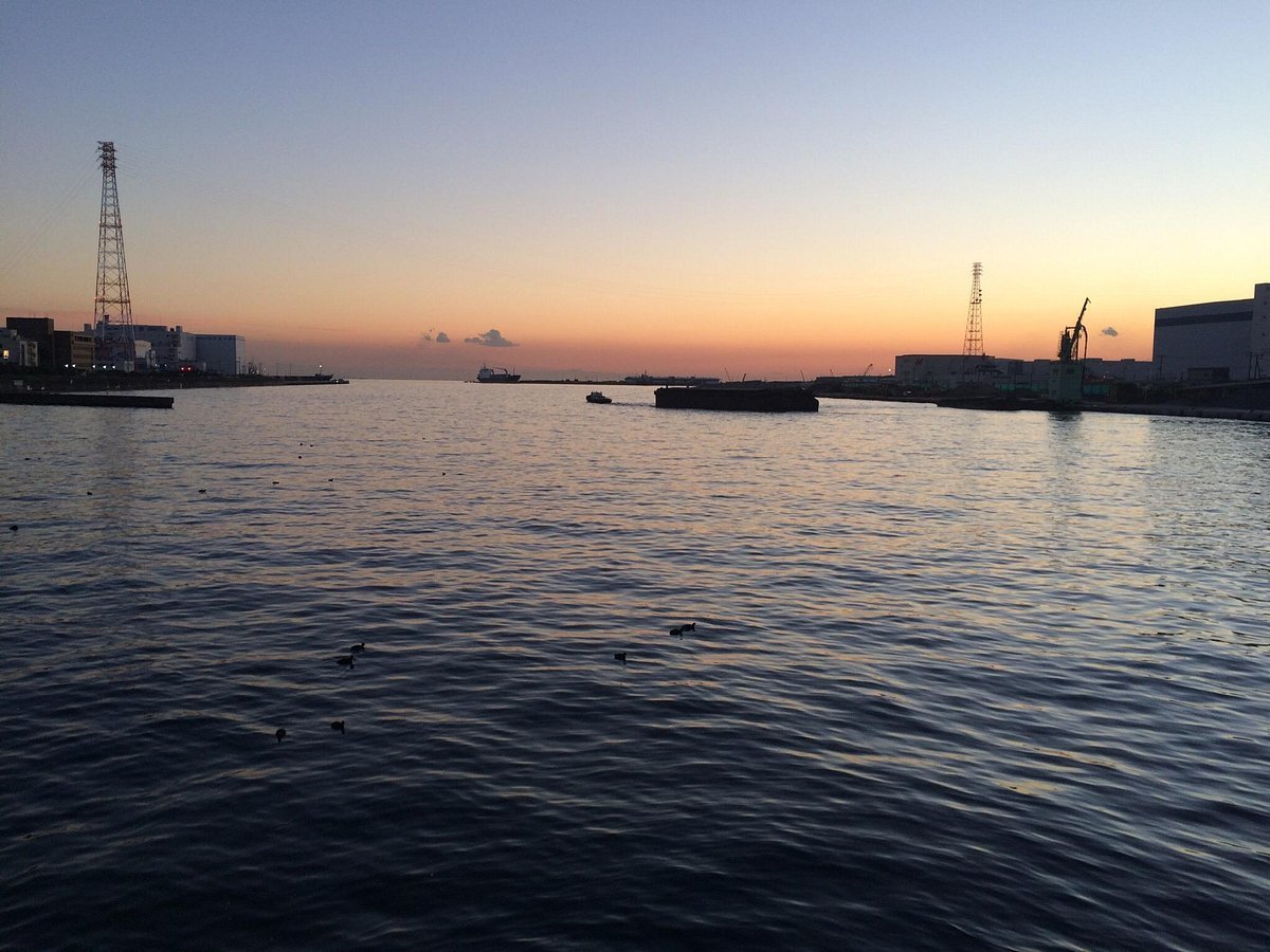 🌳 후나바시항 친수공원 (船橋港親水公園) 이미지 5